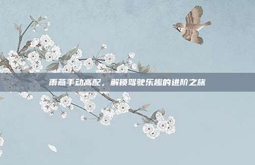 雨燕手动高配，解锁驾驶乐趣的进阶之旅