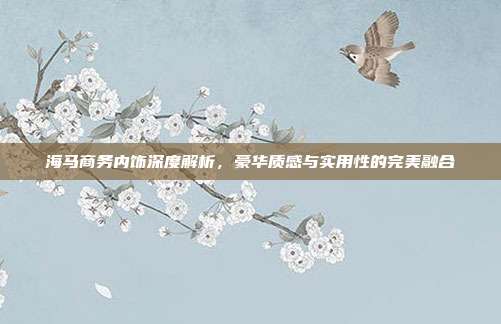 海马商务内饰深度解析，豪华质感与实用性的完美融合