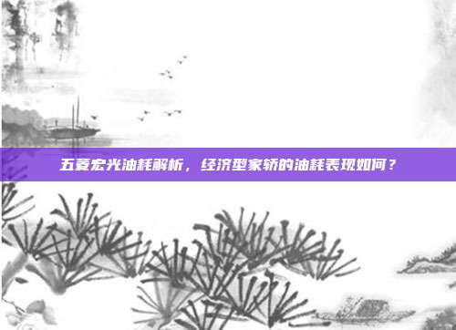 五菱宏光油耗解析，经济型家轿的油耗表现如何？