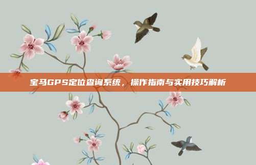宝马GPS定位查询系统，操作指南与实用技巧解析