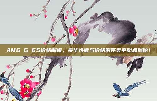 AMG G 65价格解析，豪华性能与价格的完美平衡点揭秘！