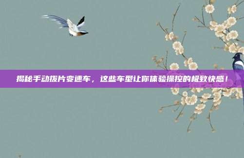 揭秘手动拨片变速车，这些车型让你体验操控的极致快感！