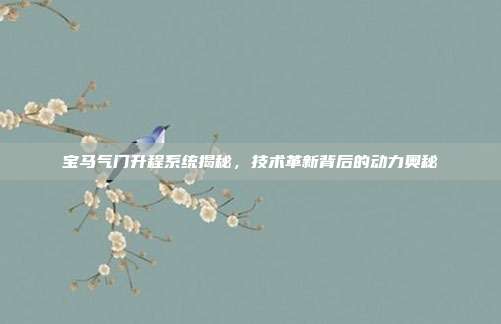 宝马气门升程系统揭秘，技术革新背后的动力奥秘
