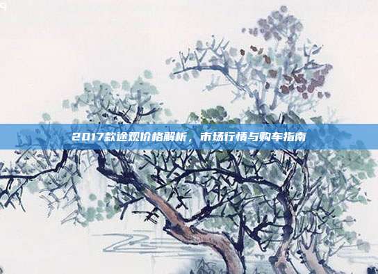 2017款途观价格解析，市场行情与购车指南