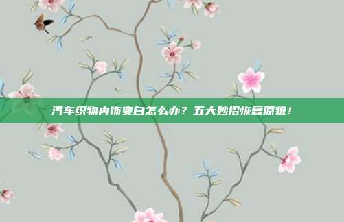 汽车织物内饰变白怎么办？五大妙招恢复原貌！