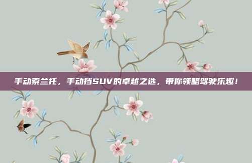 手动索兰托，手动挡SUV的卓越之选，带你领略驾驶乐趣！
