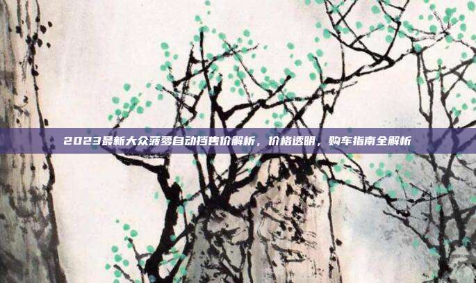 2023最新大众菠萝自动挡售价解析，价格透明，购车指南全解析