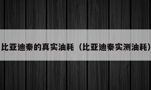 比亚迪秦的真实油耗（比亚迪秦实测油耗）