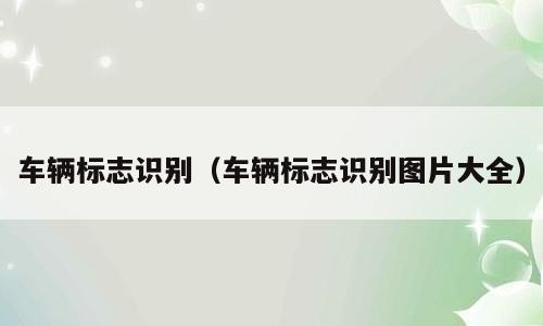 车辆标志识别（车辆标志识别图片大全）