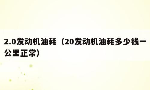 2.0发动机油耗（20发动机油耗多少钱一公里正常）
