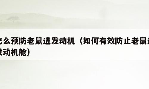 怎么预防老鼠进发动机（如何有效防止老鼠进发动机舱）