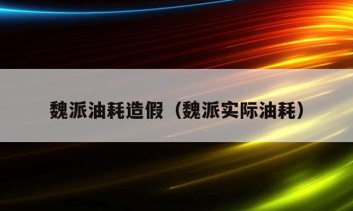 魏派油耗造假（魏派实际油耗）