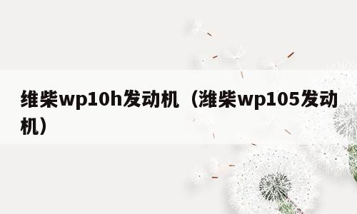 维柴wp10h发动机（潍柴wp105发动机）