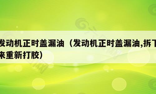 发动机正时盖漏油（发动机正时盖漏油,拆下来重新打胶）