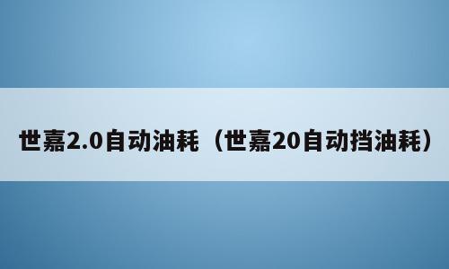 世嘉2.0自动油耗（世嘉20自动挡油耗）