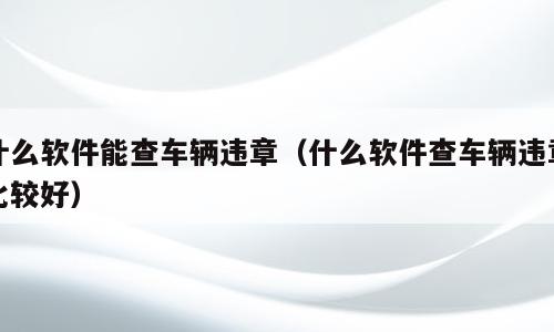 什么软件能查车辆违章（什么软件查车辆违章比较好）