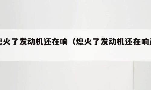 熄火了发动机还在响（熄火了发动机还在响声）