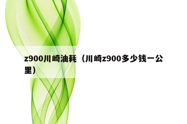 z900川崎油耗（川崎z900多少钱一公里）
