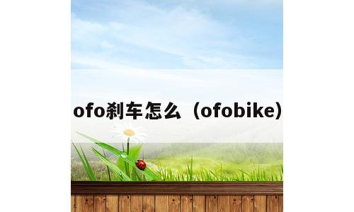 ofo刹车怎么（ofobike）