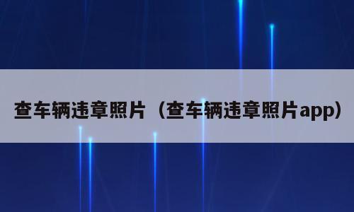 查车辆违章照片（查车辆违章照片app）