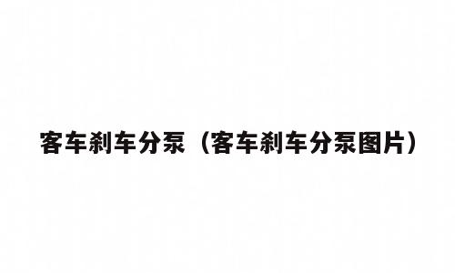客车刹车分泵（客车刹车分泵图片）