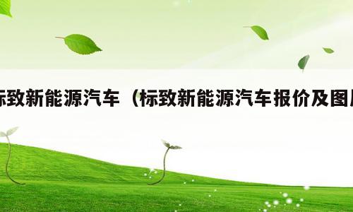 标致新能源汽车（标致新能源汽车报价及图片）