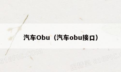 汽车Obu（汽车obu接口）