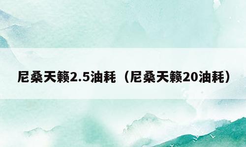 尼桑天籁2.5油耗（尼桑天籁20油耗）