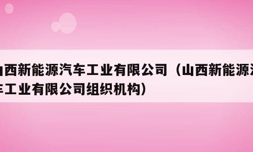 山西新能源汽车工业有限公司（山西新能源汽车工业有限公司组织机构）