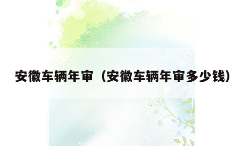 安徽车辆年审（安徽车辆年审多少钱）