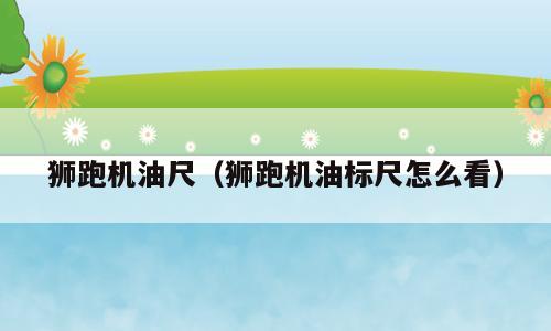 狮跑机油尺（狮跑机油标尺怎么看）