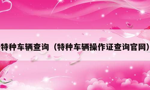 特种车辆查询（特种车辆操作证查询官网）