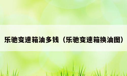 乐驰变速箱油多钱（乐驰变速箱换油图）