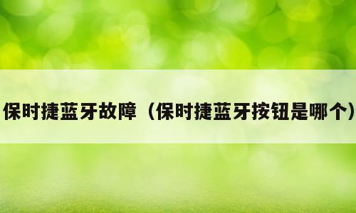 保时捷蓝牙故障（保时捷蓝牙按钮是哪个）