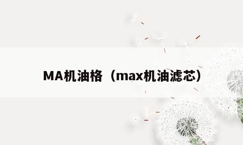 MA机油格（max机油滤芯）