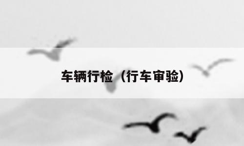 车辆行检（行车审验）