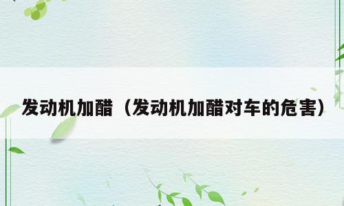 发动机加醋（发动机加醋对车的危害）