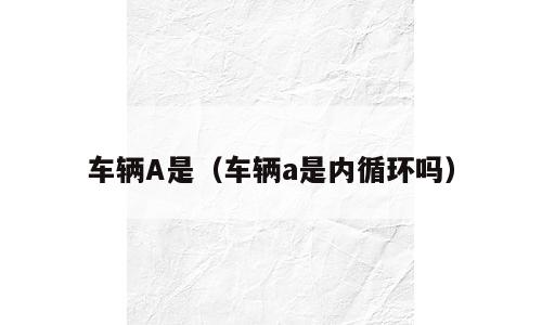 车辆A是（车辆a是内循环吗）