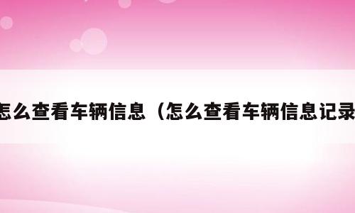 怎么查看车辆信息（怎么查看车辆信息记录）