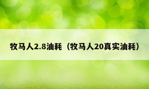 牧马人2.8油耗（牧马人20真实油耗）