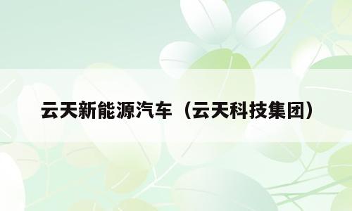 云天新能源汽车（云天科技集团）