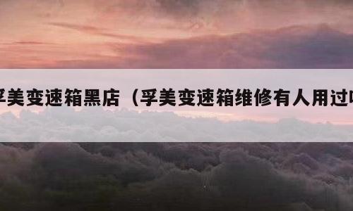 孚美变速箱黑店（孚美变速箱维修有人用过吗）
