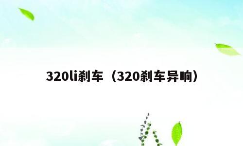 320li刹车（320刹车异响）
