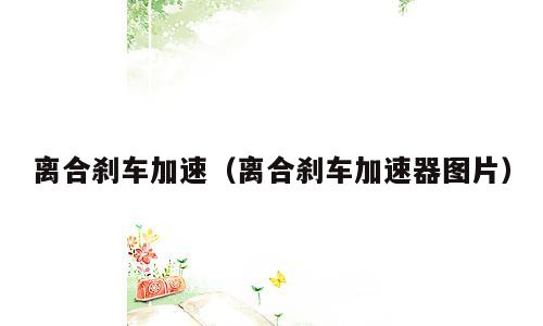 离合刹车加速（离合刹车加速器图片）