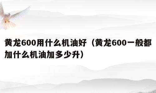 黄龙600用什么机油好（黄龙600一般都加什么机油加多少升）