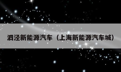 泗泾新能源汽车（上海新能源汽车城）