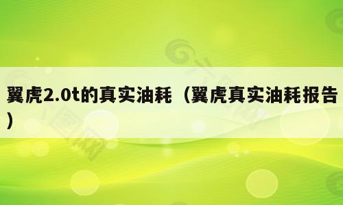 翼虎2.0t的真实油耗（翼虎真实油耗报告）