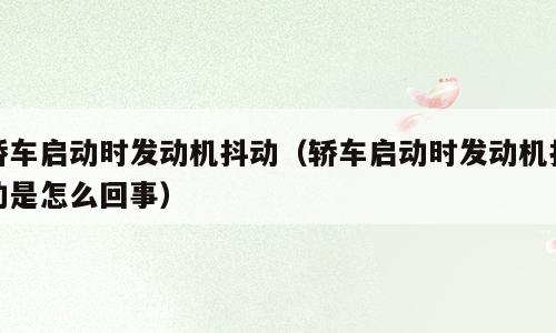 轿车启动时发动机抖动（轿车启动时发动机抖动是怎么回事）