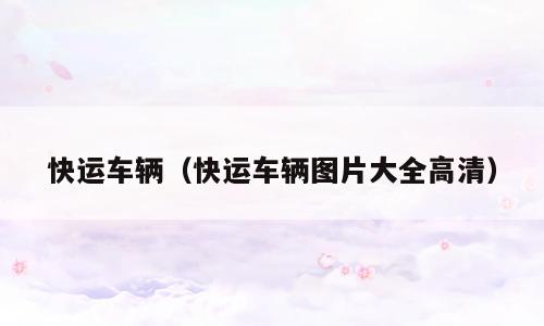 快运车辆（快运车辆图片大全高清）