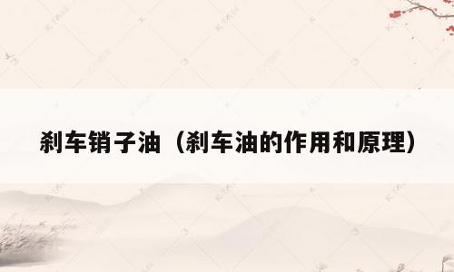 刹车销子油（刹车油的作用和原理）